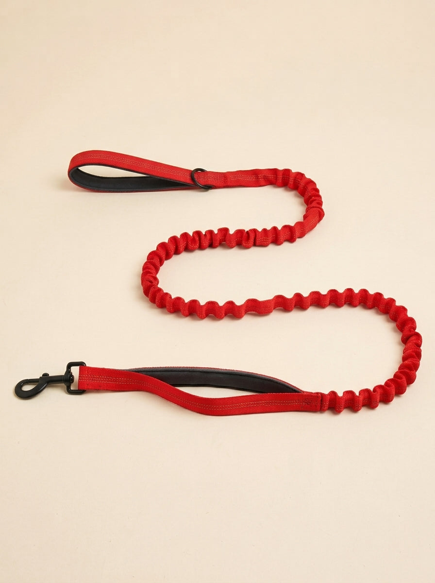 WITHERS Bungee Lead | Two Handles, Less Jolt