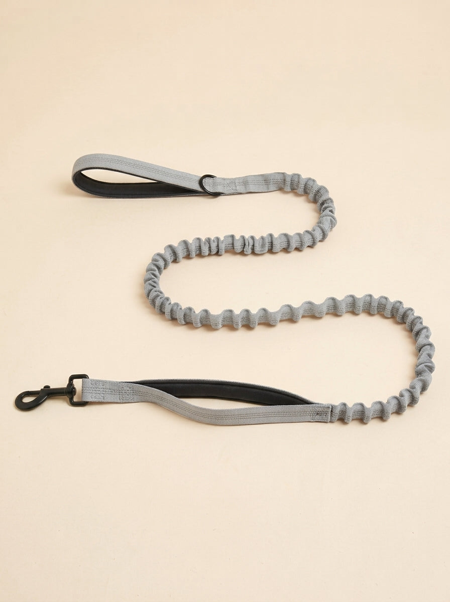 WITHERS Bungee Lead | Two Handles, Less Jolt