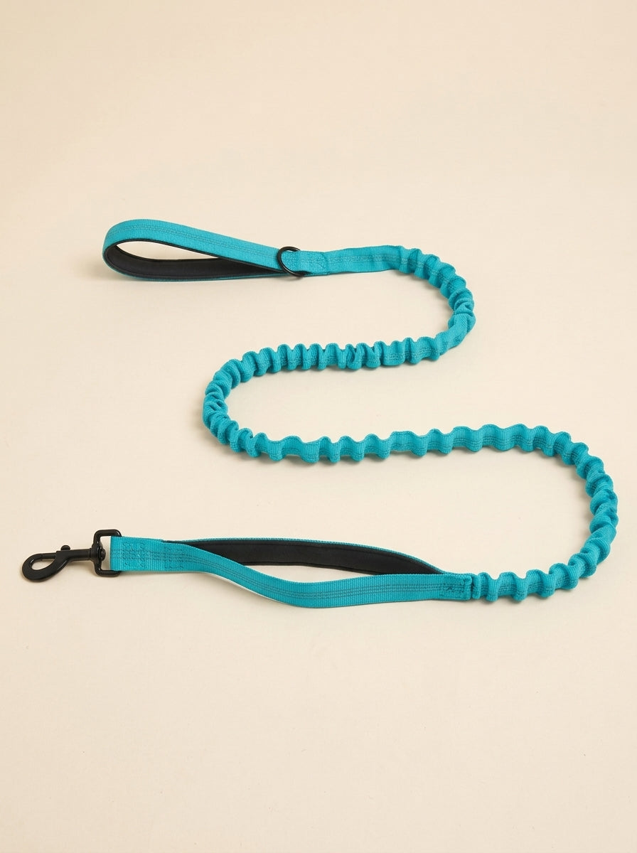 WITHERS Bungee Lead | Two Handles, Less Jolt