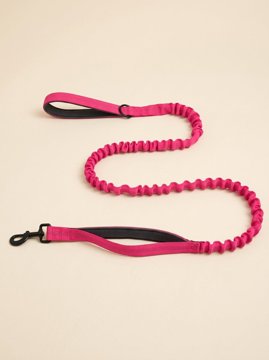 WITHERS Bungee Lead | Two Handles, Less Jolt