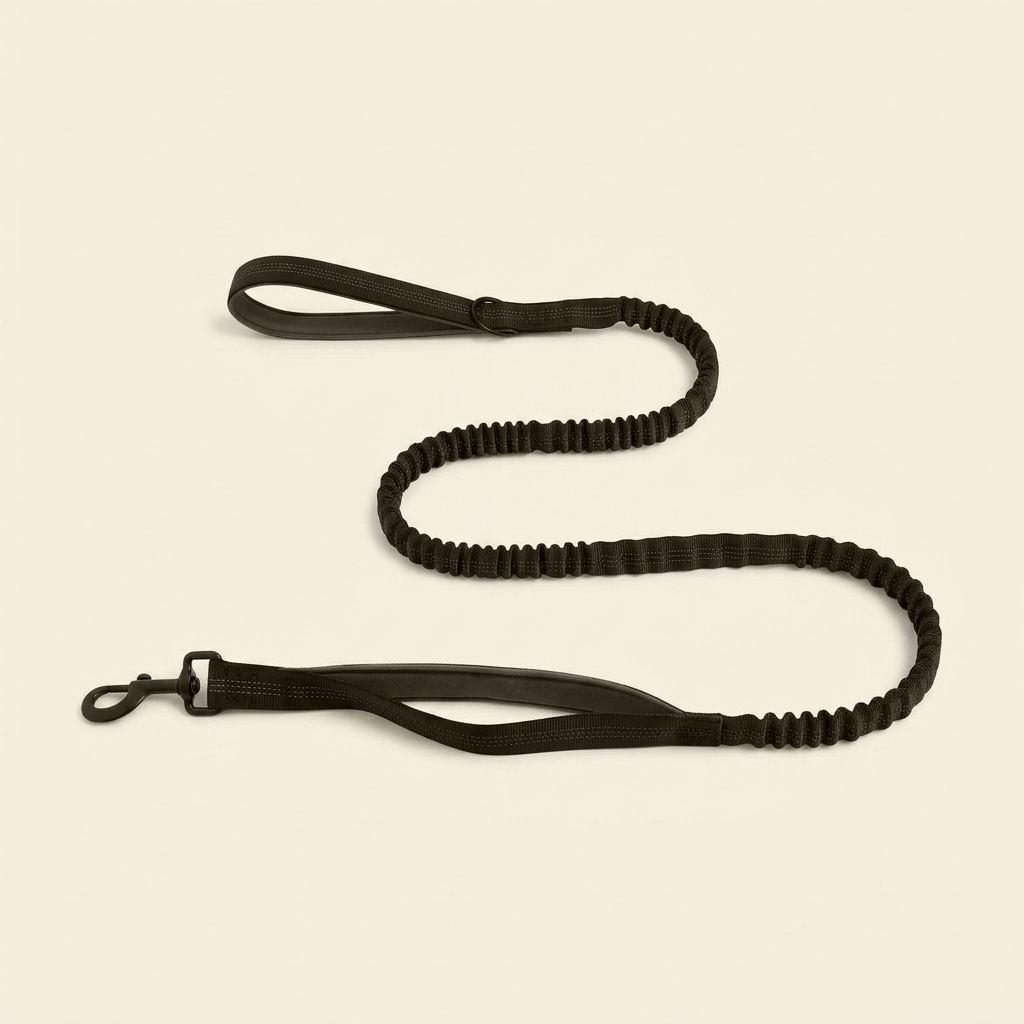WITHERS Bungee Lead | Two Handles, Less Jolt