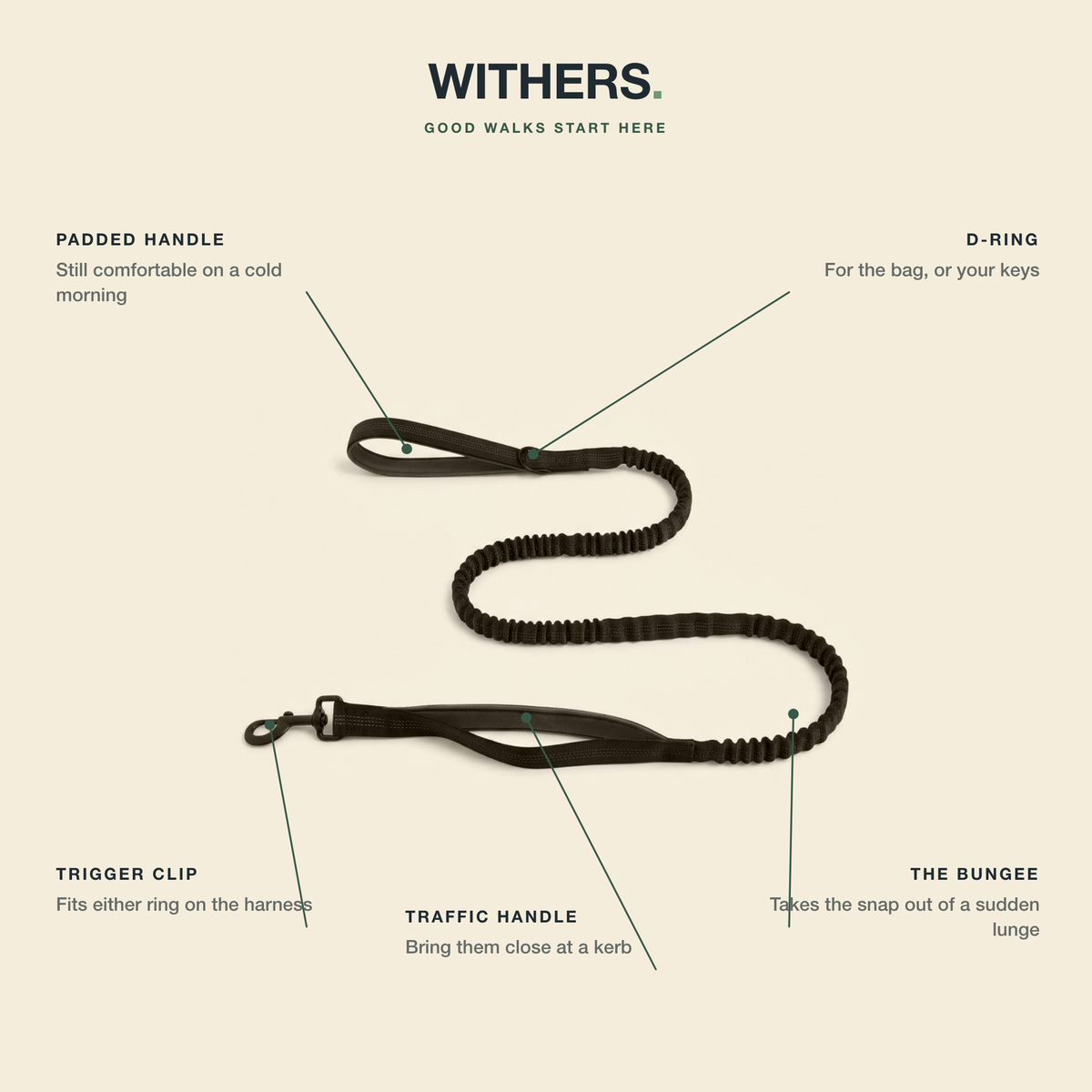 WITHERS Bungee Lead | Two Handles, Less Jolt