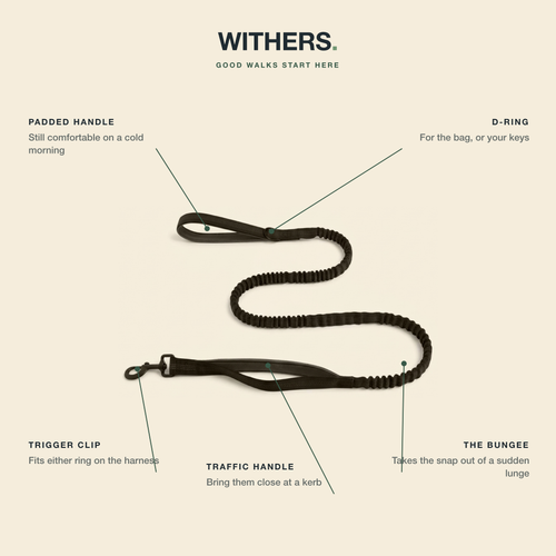 WITHERS Bungee Lead | Two Handles, Less Jolt